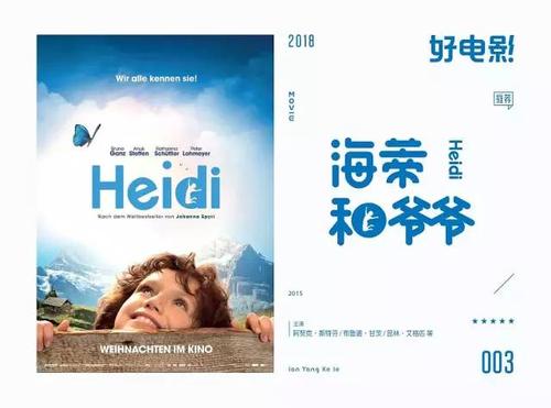 做个假荷兰护照